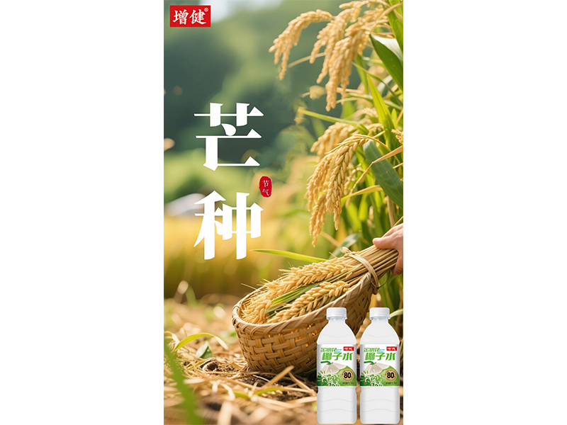 “芒”有所获? “种”有所得