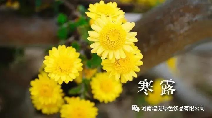 微信图片_20211025170130