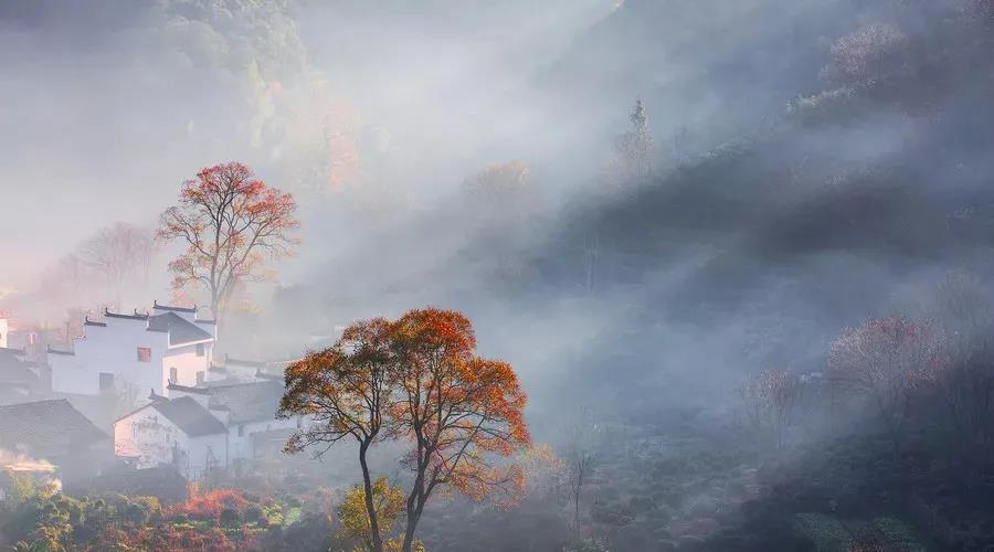 微信图片_20211025171334